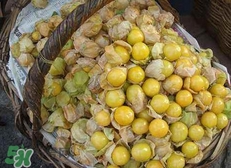 花姑娘水果怎么吃？花姑娘水果吃之前要洗嗎？