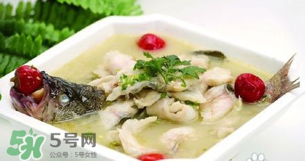 海鱸魚多少錢一斤2017？淡水鱸魚多少錢一斤？