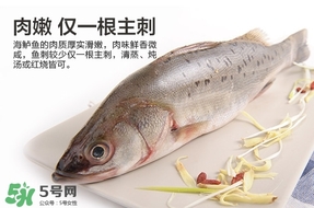 鱸魚是海鮮嗎？鱸魚是不是海鮮？