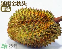 紅心榴蓮多少錢一斤？紅心榴蓮為什么這么貴？