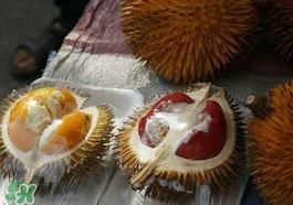 紅心榴蓮多少錢一斤？紅心榴蓮為什么這么貴？