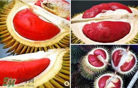 紅心榴蓮叫什么？紅心榴蓮是哪個國家產的？