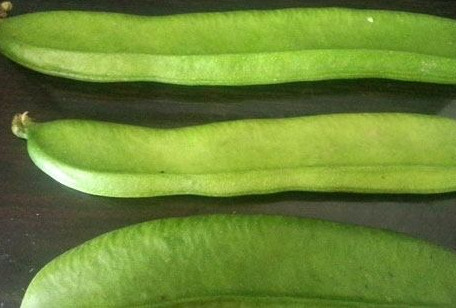 刀豆是發(fā)物嗎？刀豆是不是發(fā)物