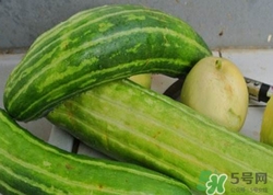 菜瓜到底是不是黃瓜？ 菜瓜和黃瓜的區(qū)別