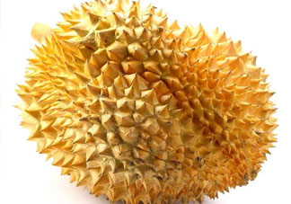 紅心榴蓮是轉基因的嗎？紅心榴蓮是不是轉基因？