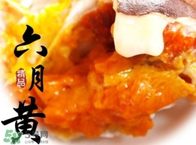 六月黃是什么蟹？六月黃什么時(shí)候上市