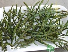 螃蟹腳茶多少錢一斤2017？螃蟹腳茶的價(jià)格