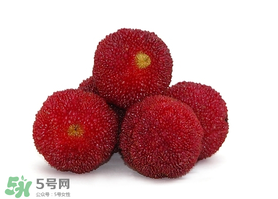 吃完楊梅不能吃什么？吃完楊梅可以吃別的水果嗎？
