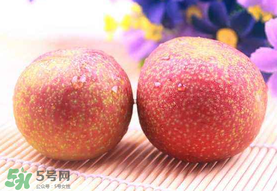 紅心李子孕婦可以吃嗎？紅心李子營養(yǎng)價(jià)值