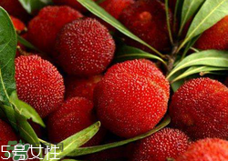 ?楊梅和李子能一起吃嗎？楊梅和李子一起吃會(huì)中毒嗎？