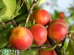 ?楊梅和李子能一起吃嗎？楊梅和李子一起吃會(huì)中毒嗎？