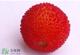 楊梅籽可以吃嗎？吃楊梅籽有什么好處？