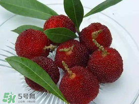 楊梅籽可以吃嗎？吃楊梅籽有什么好處？
