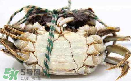 為什么說六月黃有公蟹沒有母蟹？怎樣區(qū)分螃蟹的公母