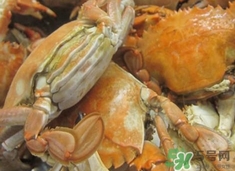 花蓋蟹死了能吃嗎？花蓋蟹死多久之內(nèi)能吃？