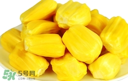 菠蘿蜜軟了還能吃嗎？菠蘿蜜軟了怎么辦？