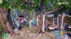 諜紙?zhí)煅酆屯鸂I有什么關(guān)系？