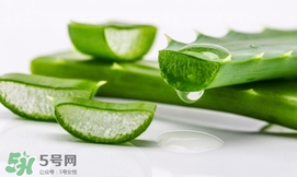 蘆薈面膜要敷多久？蘆薈面膜多久敷一次
