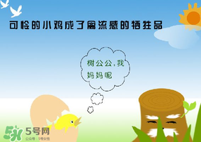 6月有禽流感嗎？2017年6月有禽流感嗎？