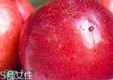 桃駁李是轉(zhuǎn)基因嗎？桃駁李是不是轉(zhuǎn)基因