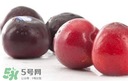 紅布林和黑布林哪個好？紅布林與黑布林的區(qū)別
