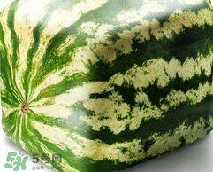 方形西瓜是如何種出來(lái)的？方形西瓜是怎么長(zhǎng)成的