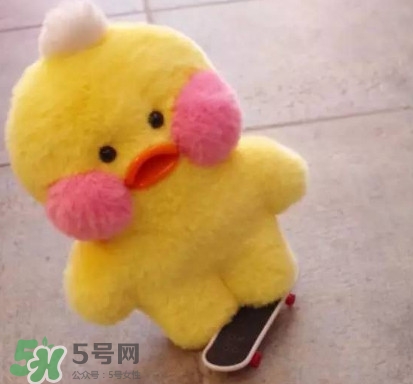 玻尿酸鴨哪里可以買到？一個玻尿酸鴨多少錢？