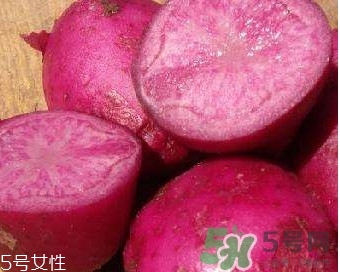 紅土豆是轉(zhuǎn)基因的嗎？紅土豆和正常土豆的區(qū)別
