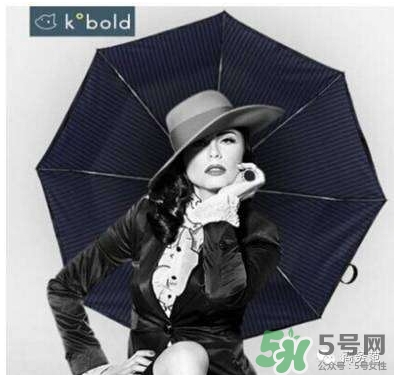 Kobold是假洋品牌么？Kobold是什么牌子是德國的嗎？