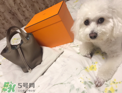 菜籃子包是什么牌子？菜籃子包是哪個品牌的？