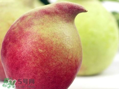鷹嘴桃種植應(yīng)注意哪些？鷹嘴桃什么時(shí)間修剪