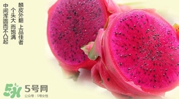 紅心火龍果對人體有哪些好處？紅心火龍果的禁忌