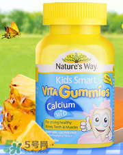 Nature's Way好嗎 Nature's Way保健品怎么樣？