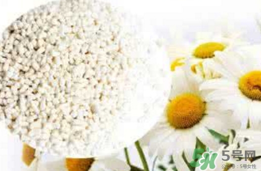 菊花晶是熱性還是涼性？菊花晶嬰兒可以喝嗎？