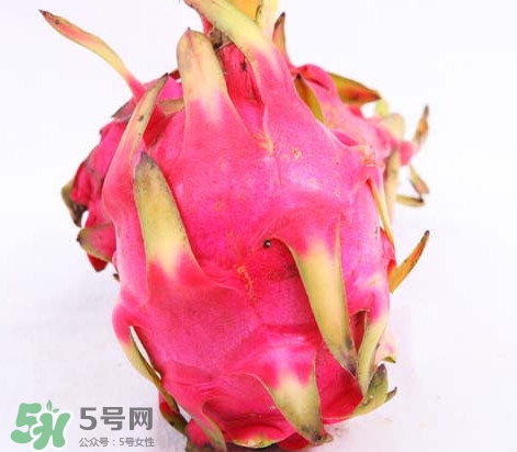 火龍果是酸性還是堿性？火龍果盆栽種植方法
