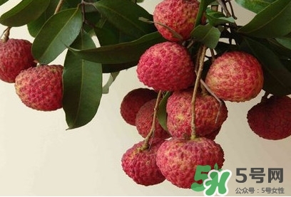 糯米糍荔枝多少錢一斤2017？糯米糍荔枝市場價格