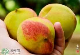 九仙桃什么時候成熟？九仙桃什么時候上市