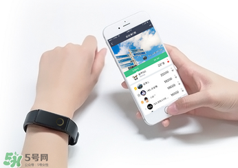 拉卡拉手環(huán)多少錢？拉卡拉手環(huán)價格