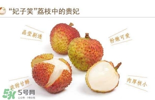 貴妃荔枝是哪里的？貴妃荔枝的產(chǎn)地是哪里