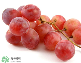 提子上的白色是什么？提子外面白色的是什么？