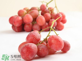 提子上的白色是什么？提子外面白色的是什么？