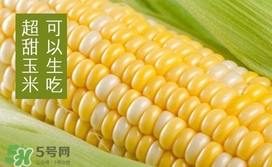 水果玉米是轉(zhuǎn)基因的嗎？水果玉米可以生吃嗎