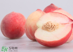 水蜜桃可以和酸奶一起吃嗎？水蜜桃酸奶的做法