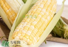 水果玉米多少錢(qián)一斤2017？水果玉米市場(chǎng)價(jià)格