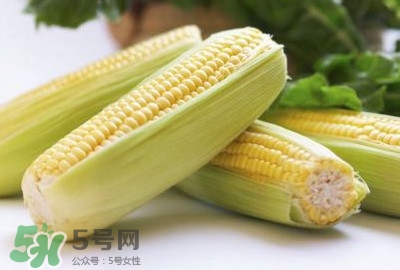 水果玉米可以多吃嗎？吃水果玉米有什么好處