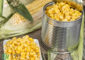 新鮮水果玉米怎么保存？水果玉米怎么儲存