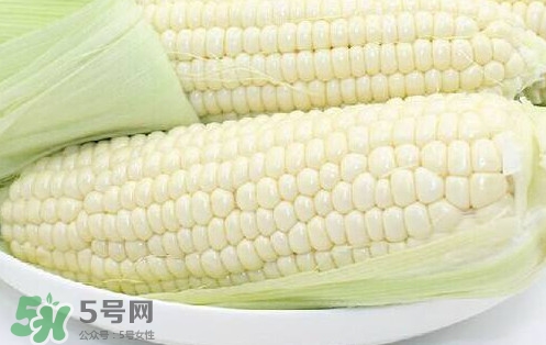 水果玉米多少錢(qián)一斤2017？水果玉米市場(chǎng)價(jià)格