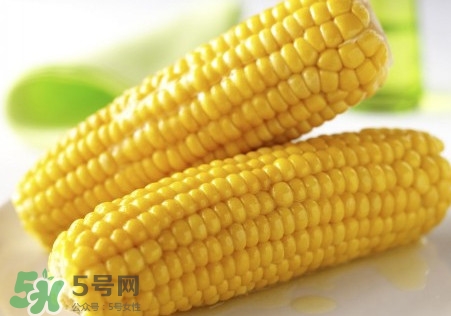 新鮮水果玉米怎么保存？水果玉米怎么儲存