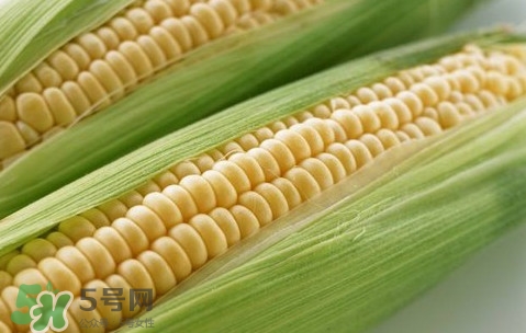 水果玉米熱量高嗎？一根水果玉米的熱量是多少