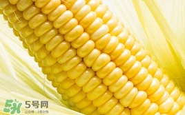 水果玉米是轉(zhuǎn)基因的嗎？水果玉米可以生吃嗎